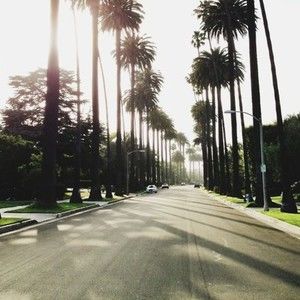 Meet your Posher, Madi